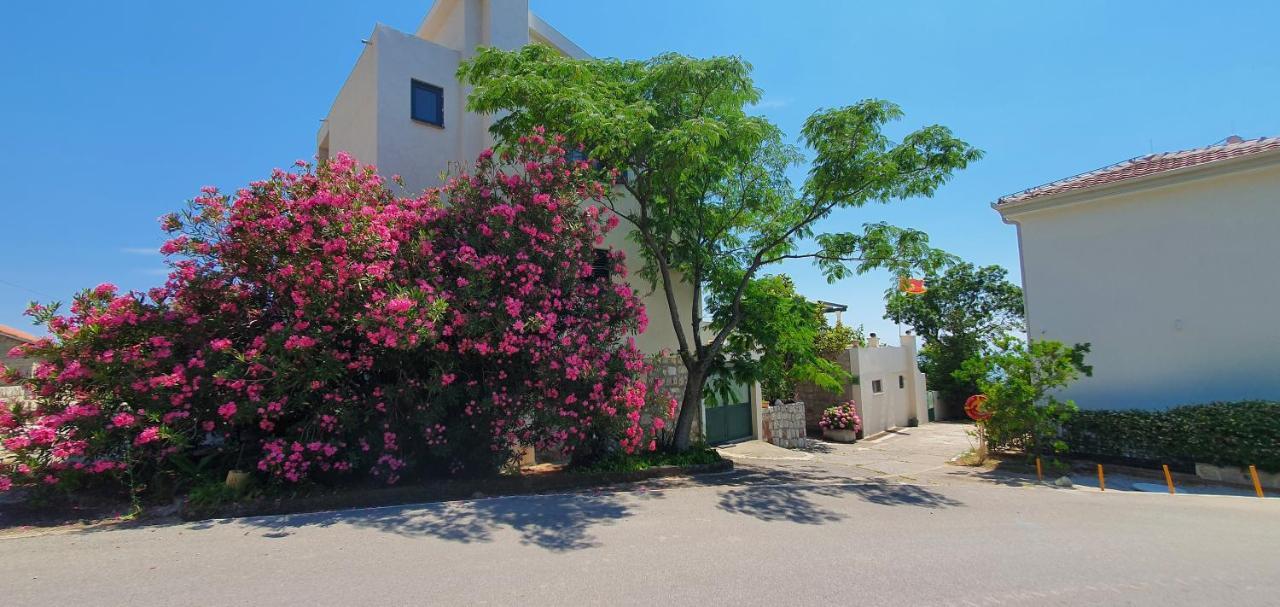Boutique Home Saltaragazza Petrovac 外观 照片