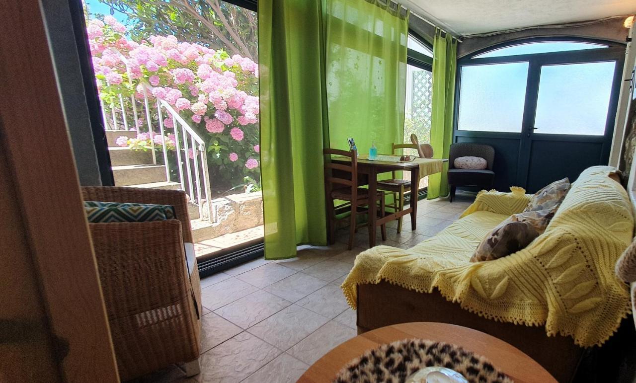 Boutique Home Saltaragazza Petrovac 外观 照片