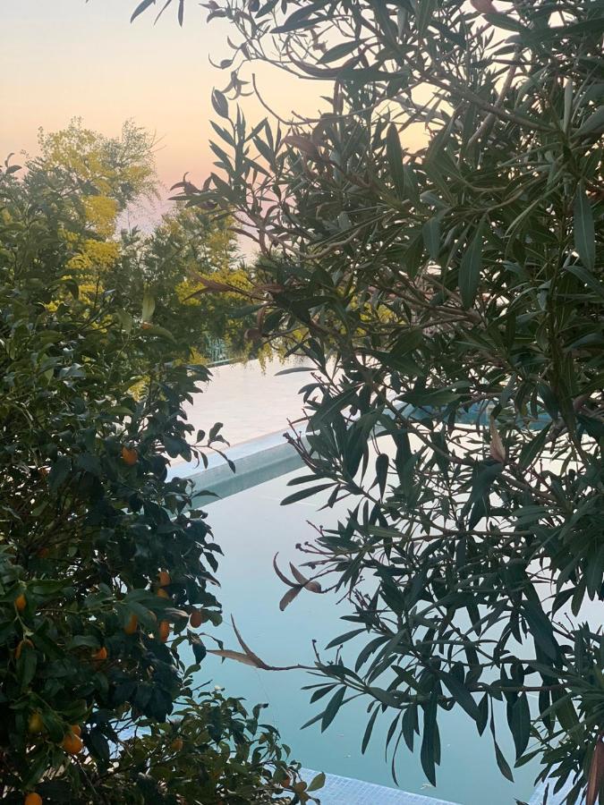 Boutique Home Saltaragazza Petrovac 外观 照片