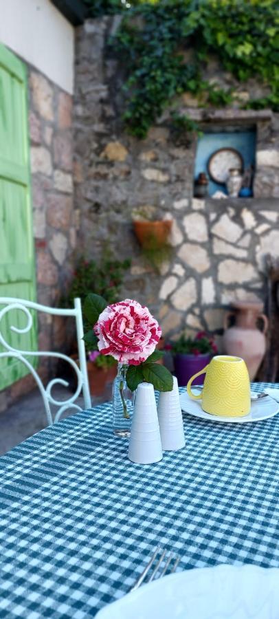Boutique Home Saltaragazza Petrovac 外观 照片
