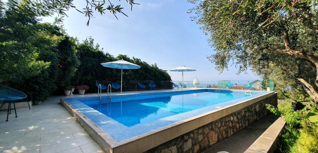 Boutique Home Saltaragazza Petrovac 外观 照片