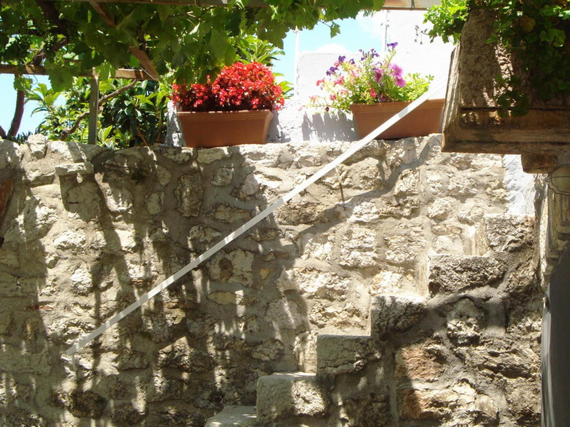 Boutique Home Saltaragazza Petrovac 外观 照片