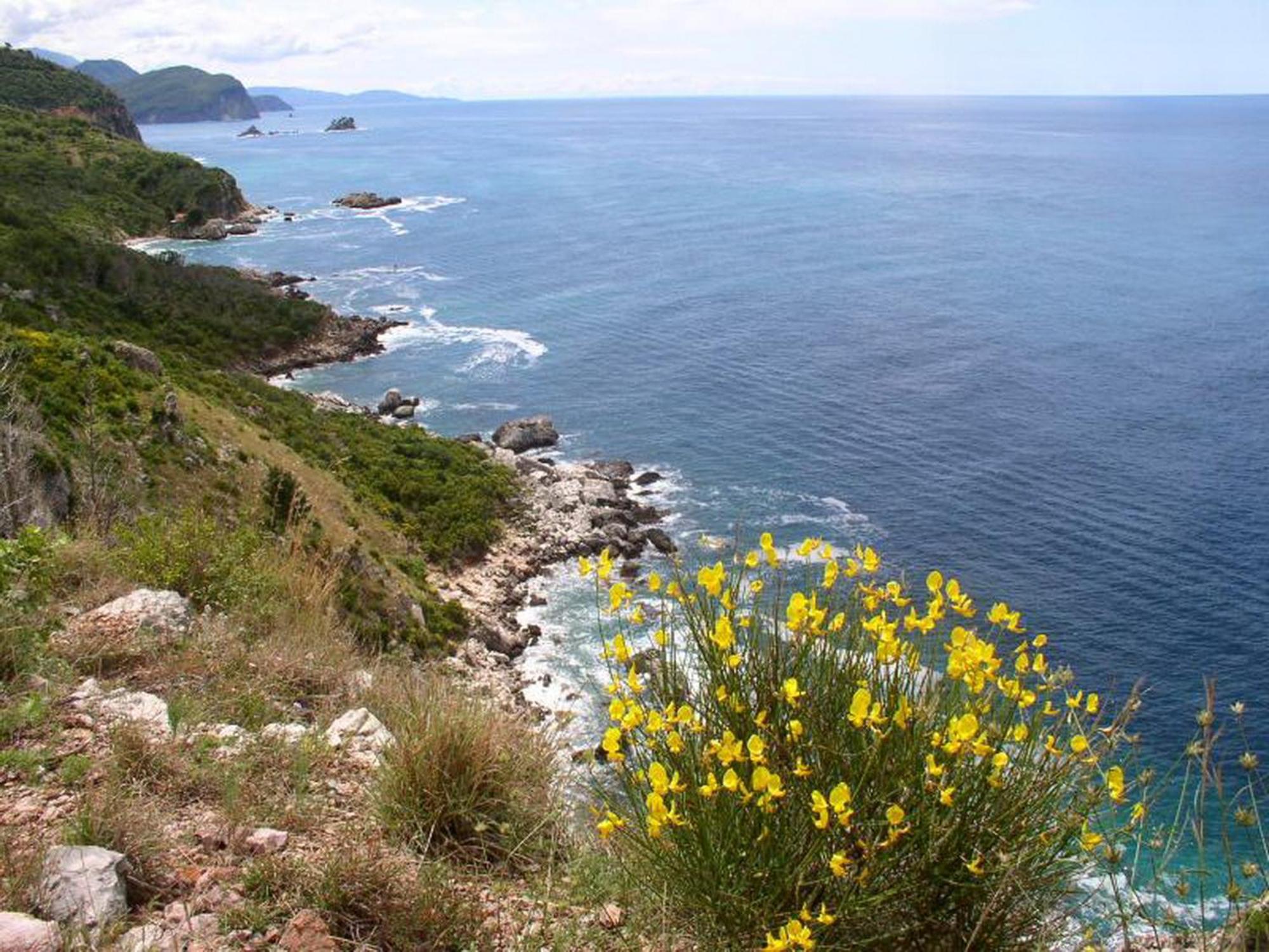 Boutique Home Saltaragazza Petrovac 外观 照片