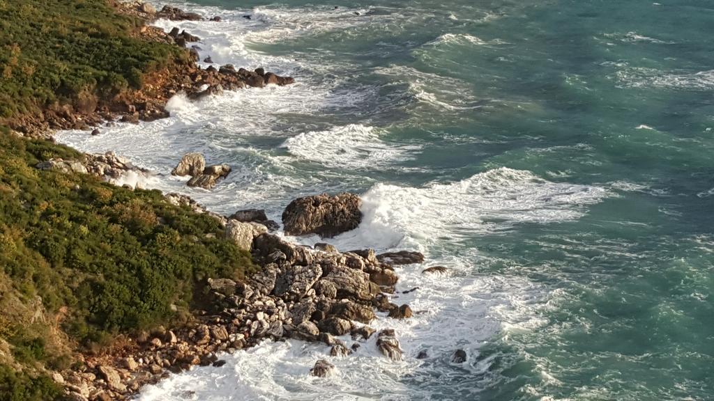 Boutique Home Saltaragazza Petrovac 外观 照片