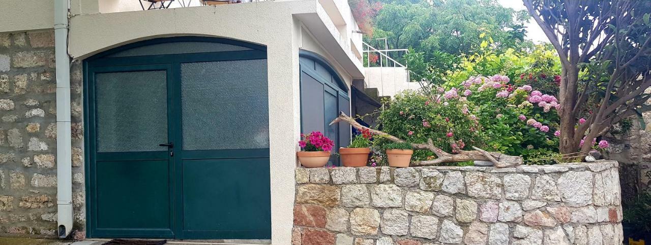 Boutique Home Saltaragazza Petrovac 外观 照片