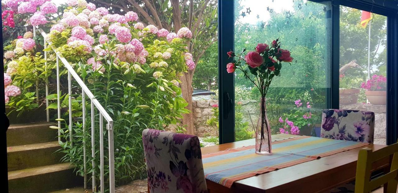 Boutique Home Saltaragazza Petrovac 外观 照片