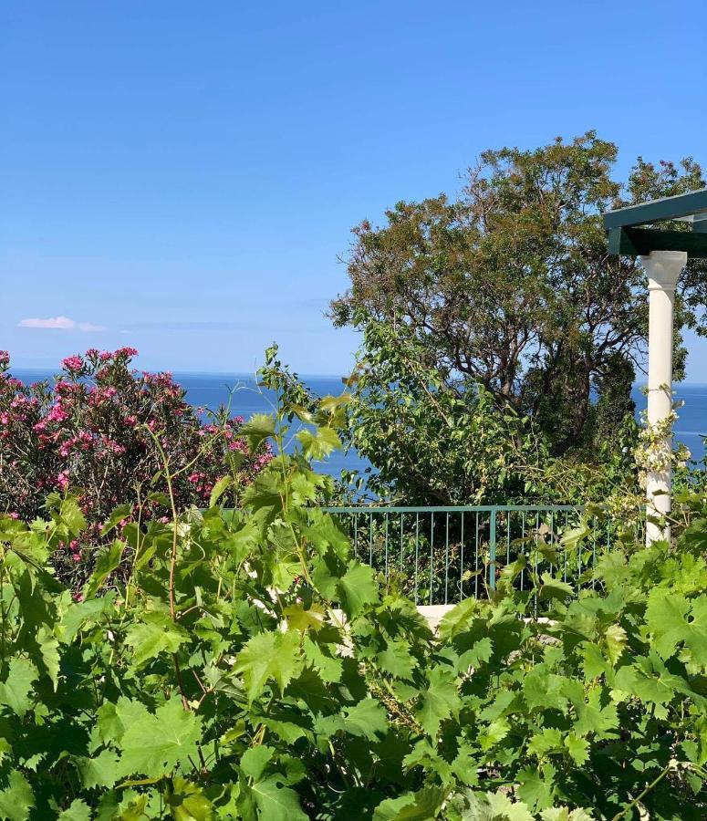 Boutique Home Saltaragazza Petrovac 外观 照片